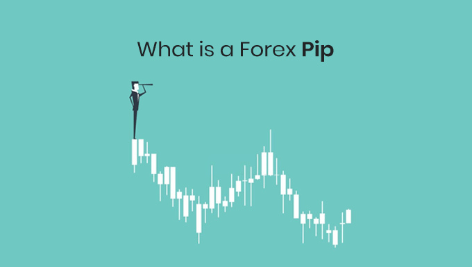 what is a forex pip