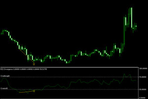 rsi divergence indicator mt5