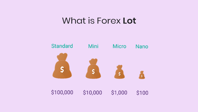 forex lot meaning