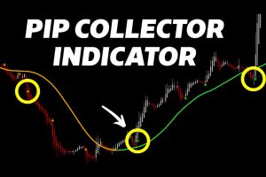 pip collector indicator