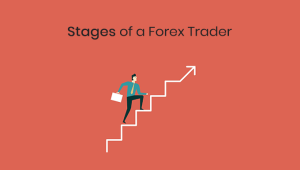 stages of a forex trader